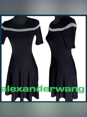 Alexander Wang Black with Mesh Stripe Short Sleeve Fit and Flare Dress (XS/S)